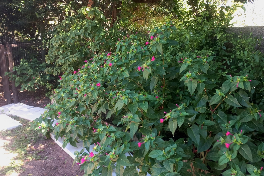 5 Bedroom Property for Sale in Kingfisher Creek Western Cape